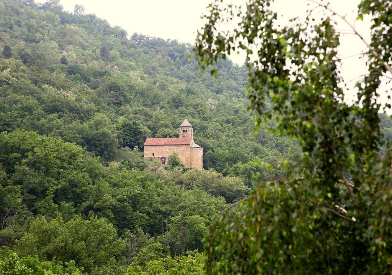 Beau Vallon - Gite Et Chambres D'Hotes Pyrenees-Mediterranee - Pays Catalan Sahorre Ngoại thất bức ảnh