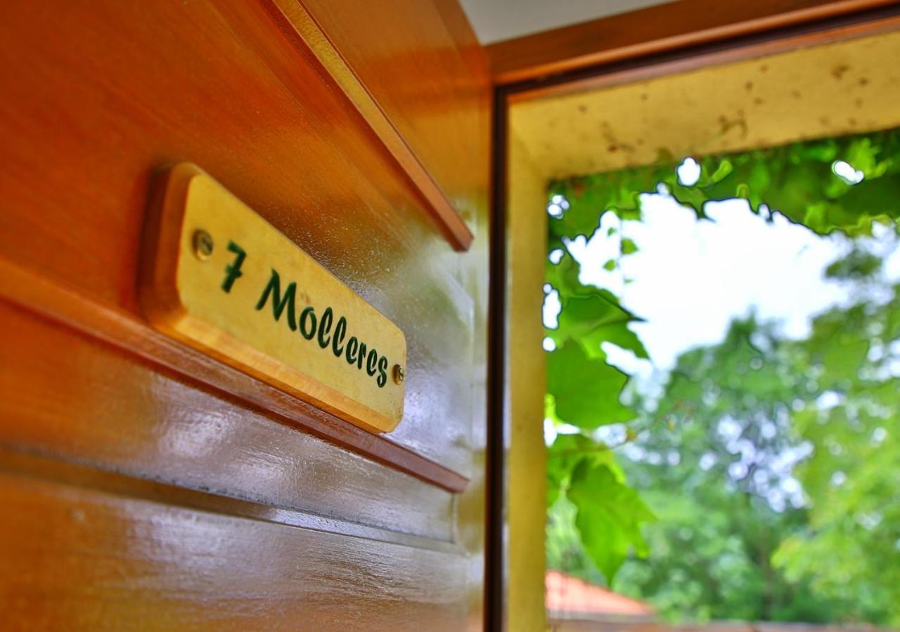 Beau Vallon - Gite Et Chambres D'Hotes Pyrenees-Mediterranee - Pays Catalan Sahorre Ngoại thất bức ảnh